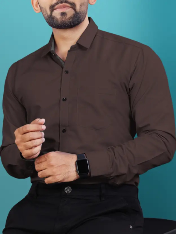 Men Regular Fit Solid Button Down Collar Formal Shirt